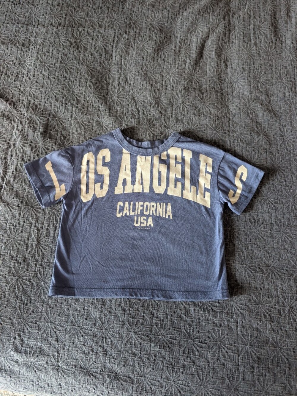 Oversized Purple Los Angeles Graphic Tee